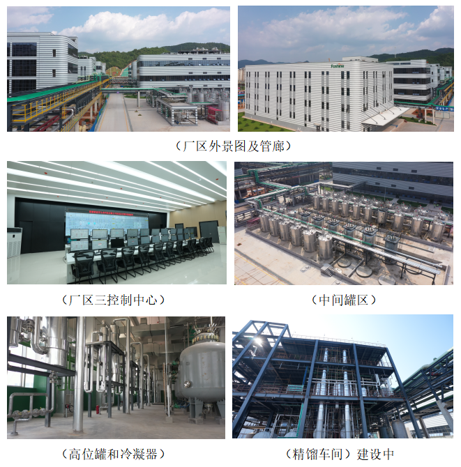 鉴黑担保网(jhdbw)·最具权威唯一维权担保平台
